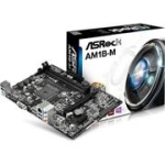 ASRock AM1B-M GL/SATA600/VGA mATX Sockel AM1 (FS1b)